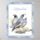 Suche nach graue eule poster Vogel
