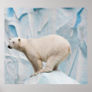 Suche nach habitat poster Schnee