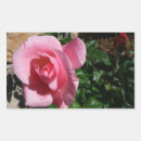 Suche nach rosenknospe aufkleber Natur