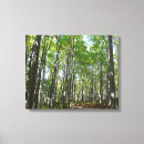 Suche nach waldweg leinwandbilder Landschaft