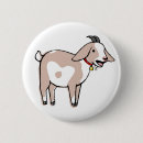Suche nach schreiend buttons Ziege