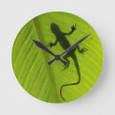 Suche nach gecko wanduhren Chamäleon