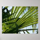 Suche nach gekreuzt poster Natur