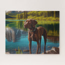Suche nach schokoladen labrador puzzle Hund