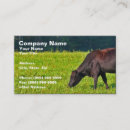 Suche nach cowboys visitenkarten Geschäft