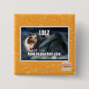 Suche nach lolz Ich kann habe cheezburger