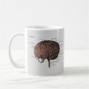 Suche nach kleinhirn Cerebrum