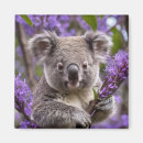Suche nach koala magnete Australisch