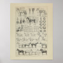 Suche nach kehlkopf poster Anatomie