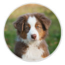 Suche nach schäferwelpe Hund