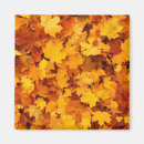 Suche nach natur magnete Herbst