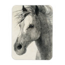 Suche nach graues pferd magnete Abstrakt