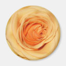 Suche nach rosenmagnet Gelb