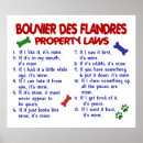Suche nach bouvier des flandres poster Hunde