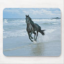 Suche nach zu pferde mousepads Meer
