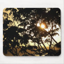Suche nach tropische bäume mousepads Sonnenuntergang