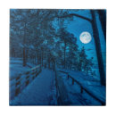 Suche nach winterlandschaft fliesen Wald