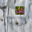 Suche nach hybrider buttons Hybride orchidee
