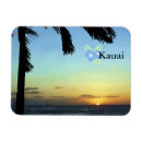 Suche nach kauai magnete Palme
