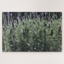 Suche nach lavendel puzzle Blätter