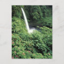 Suche nach la paz poster Natur