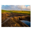 Suche nach alter baum poster Landschaft