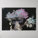 Suche nach acrylmalereien poster Originell