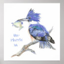 Suche nach der eisvogel poster Natur