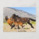 Suche nach geister postkarten Berge