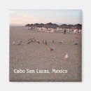 Suche nach vogel magnete Strand