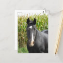 Suche nach maisfelder postkarten Blau