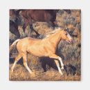 Suche nach pferd magnete Galoppieren