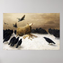 Suche nach australischer schäfer poster Schafe