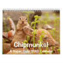 Suche nach 2013 wandkalender Spaß