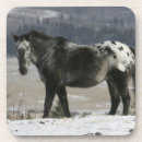 Suche nach appaloosa untersetzer Reiter