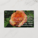 Suche nach pfingstrose visitenkarten Rosa