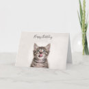 Suche nach niedliches kätzchen karten Haustier