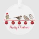 Suche nach niedlicher vogel ornamente Santa
