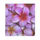 Suche nach hawaii notizblock Usa