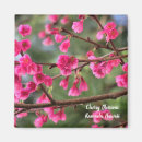 Suche nach kirschblüte blüte magnete Natur