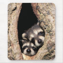 Suche nach pinkeln mousepads Tierwelt