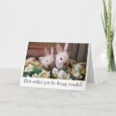 Suche nach bunny karten Floral