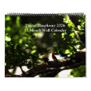 Suche nach science fiction kalender Raum