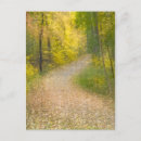 Suche nach allee postkarten Natur