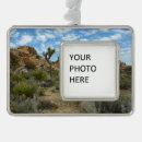 Suche nach joshua tree ornamente Wüste