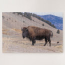 Suche nach bison puzzle Gelbstein