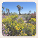 Suche nach mojave untersetzer Joshua baum nationalpark
