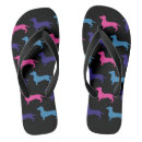 Suche nach die dackel schuhe Niedlich