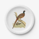 Suche nach fasan teller Wildvogel