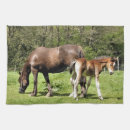 Suche nach niedliches pferd geschirr tücher Pferde